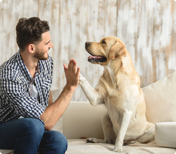 Natural Dog Supplements: The Clean, Holistic Approach to Keeping Your Pet Healthy