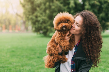 How to Stop Dog Diarrhea: Effective Tips and Remedies