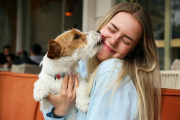 Why Do Dogs Lick Their Paws? Causes and Solutions