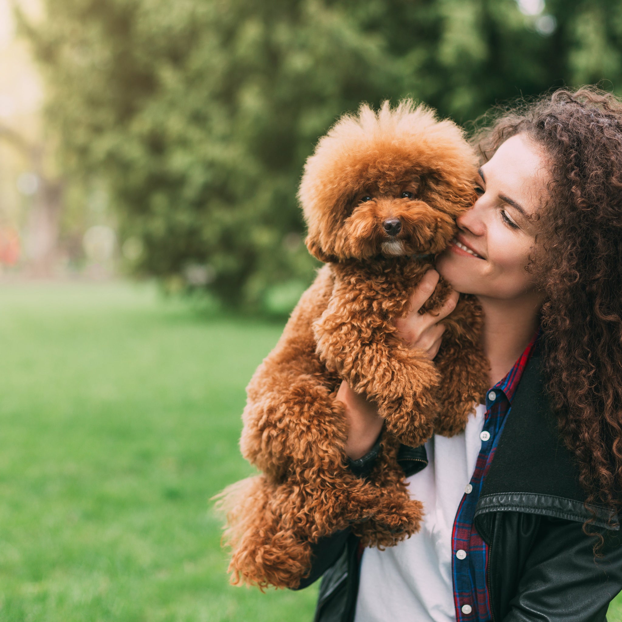 How to Stop Dog Diarrhea: Effective Tips and Remedies
