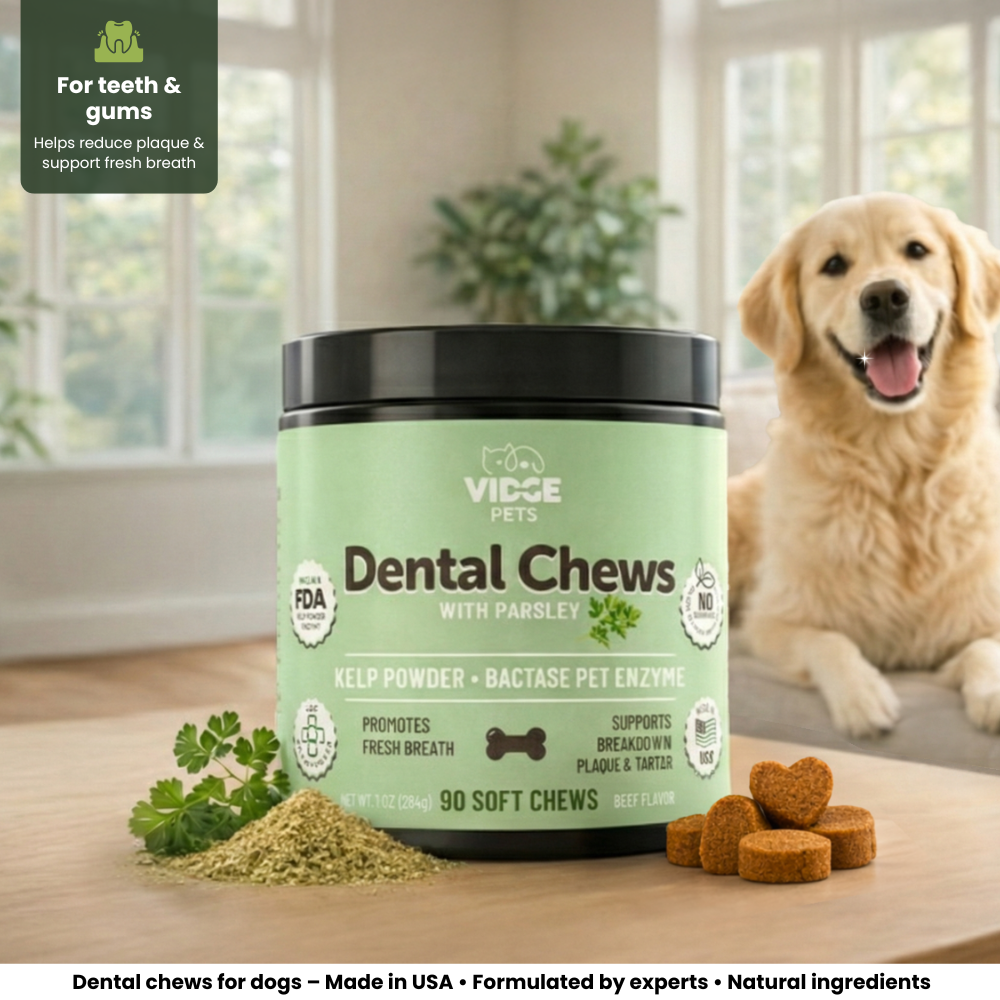 Dental Chews hero