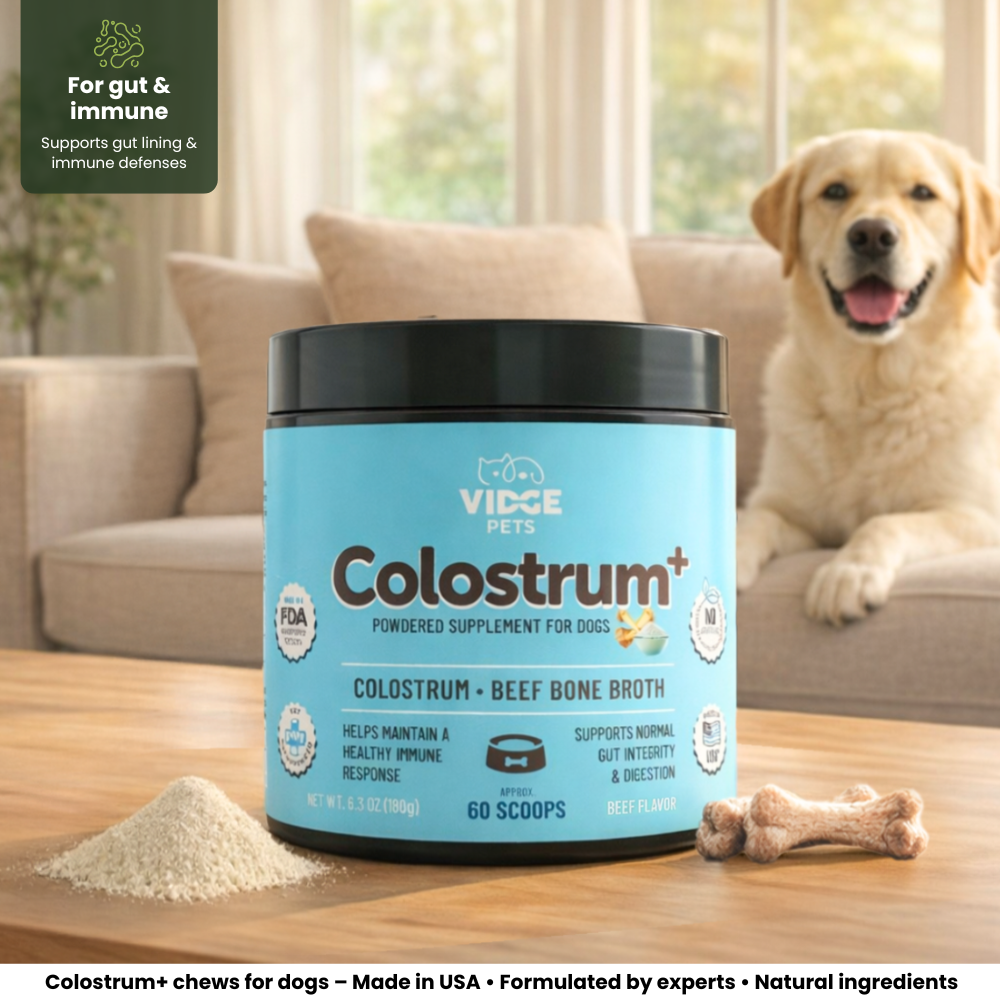 Colostrum+ hero