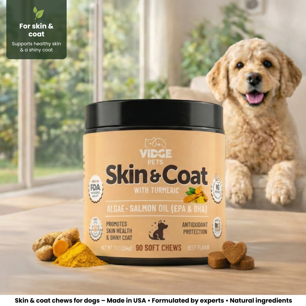 Skin & Coat Support hero