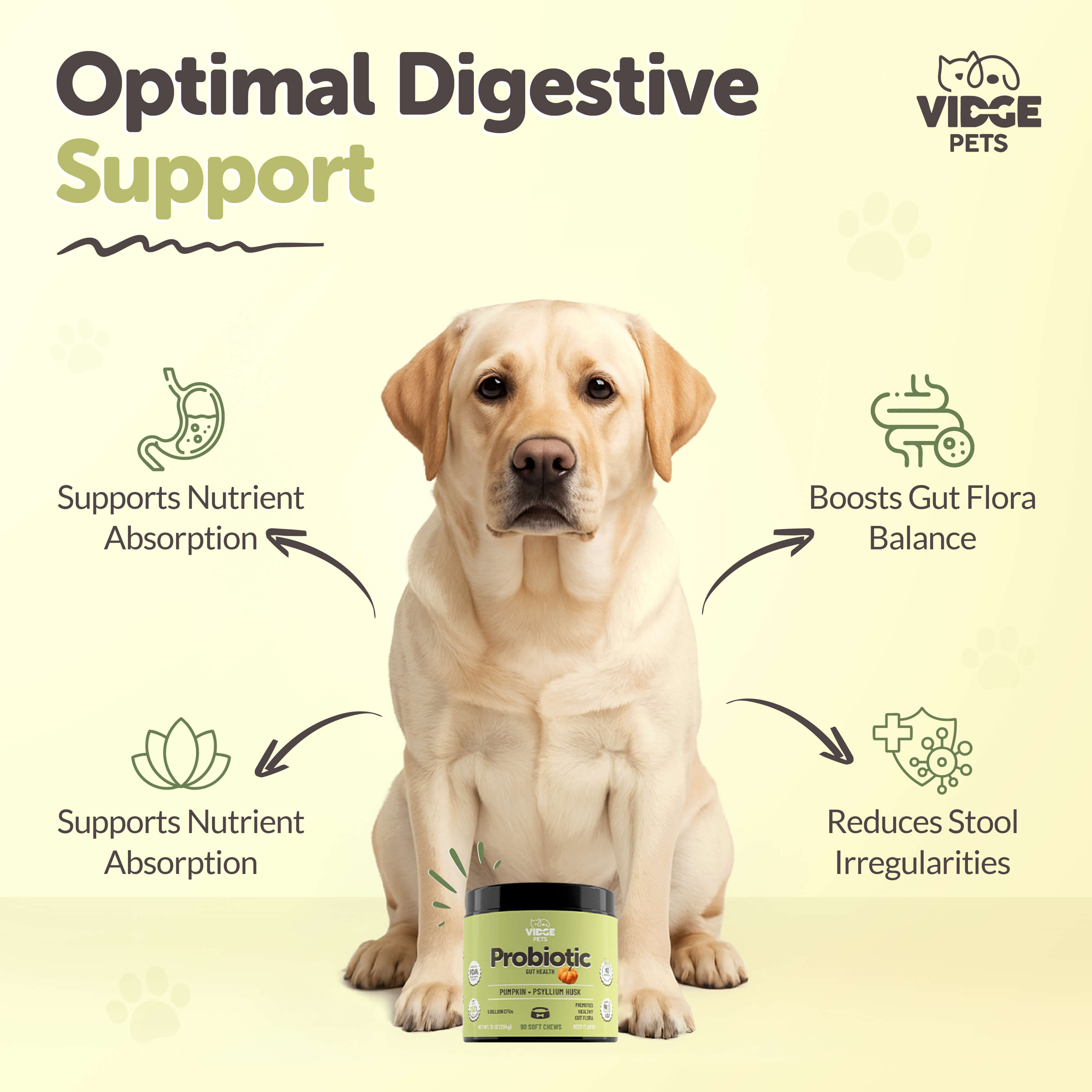 Probiotic Premium 6-in-1 & Fiber Blend for Dogs
