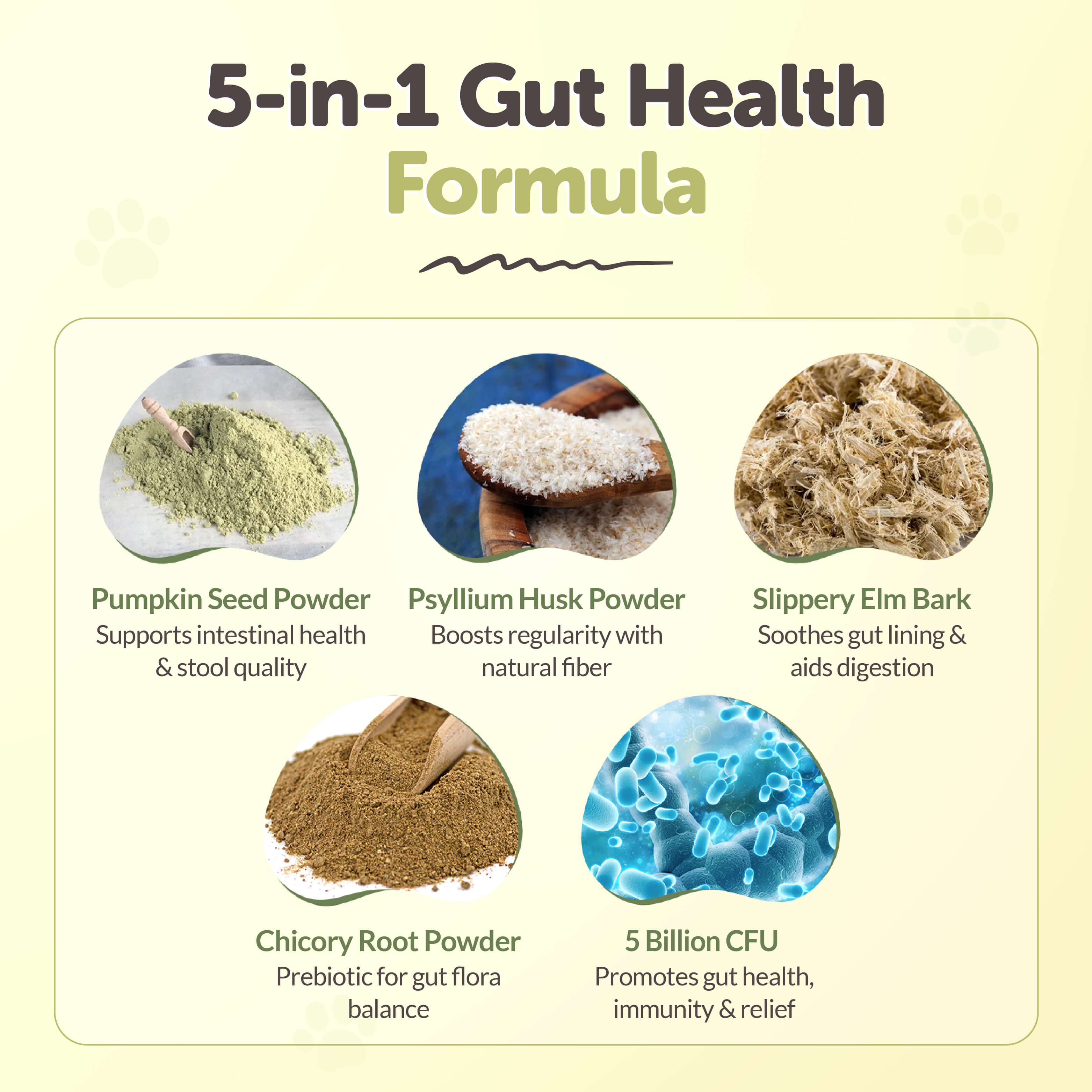 Probiotic Premium 6-in-1 & Fiber Blend for Dogs