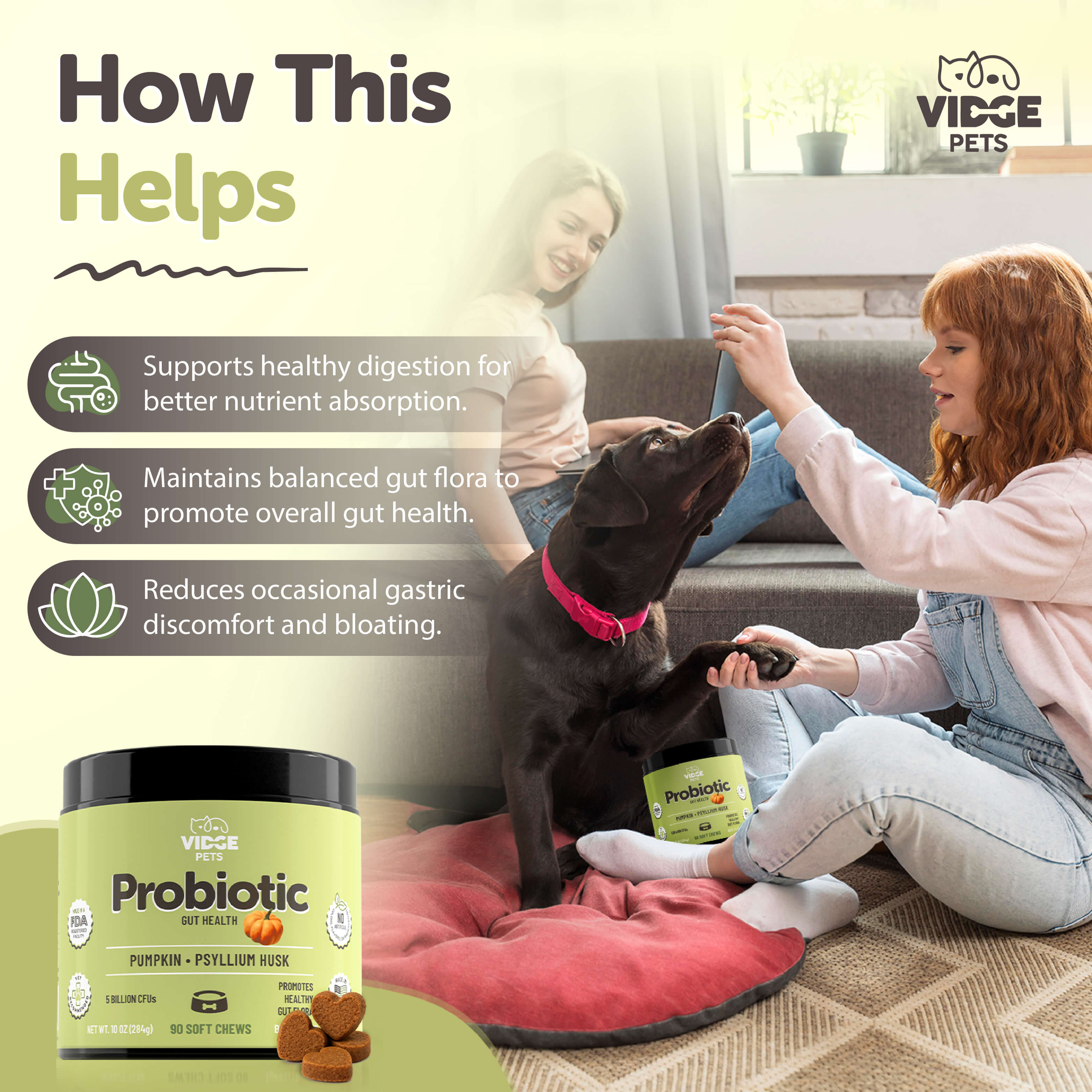 Probiotic Premium 6-in-1 & Fiber Blend for Dogs