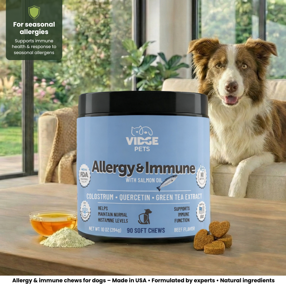 Allergy & Immune support hero