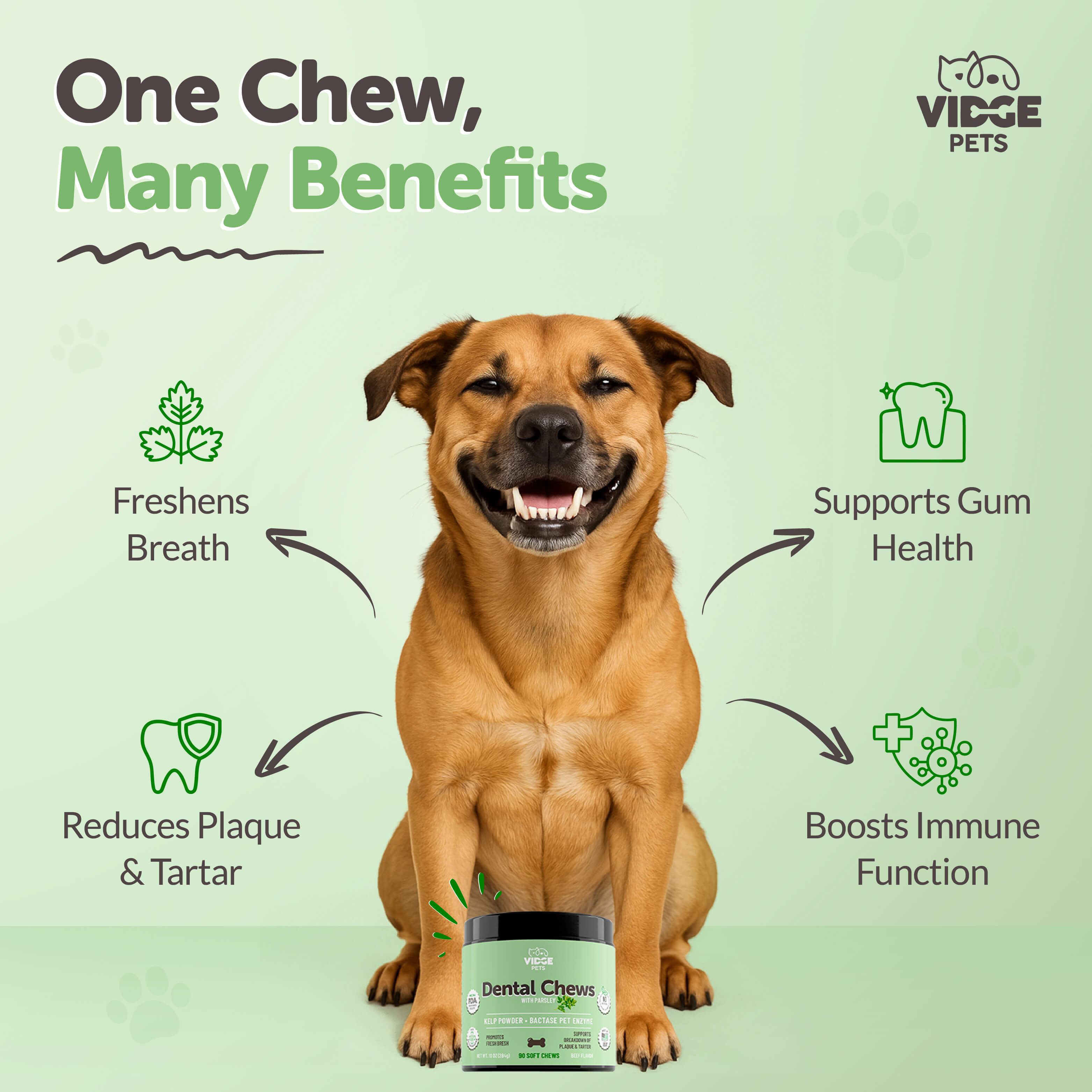 Dental support - Say Goodbye to Doggy Breath.
