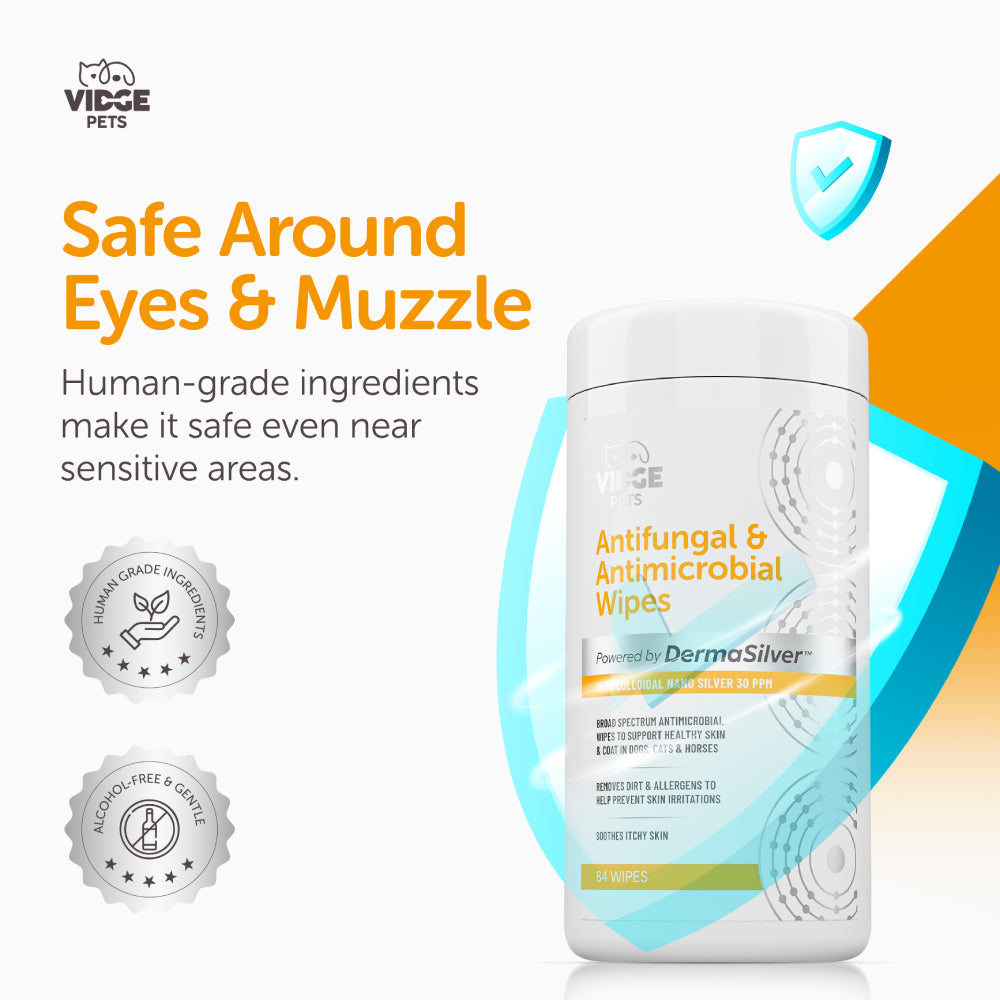 Antifungal & Antimicrobial Wipes for Dogs (New)