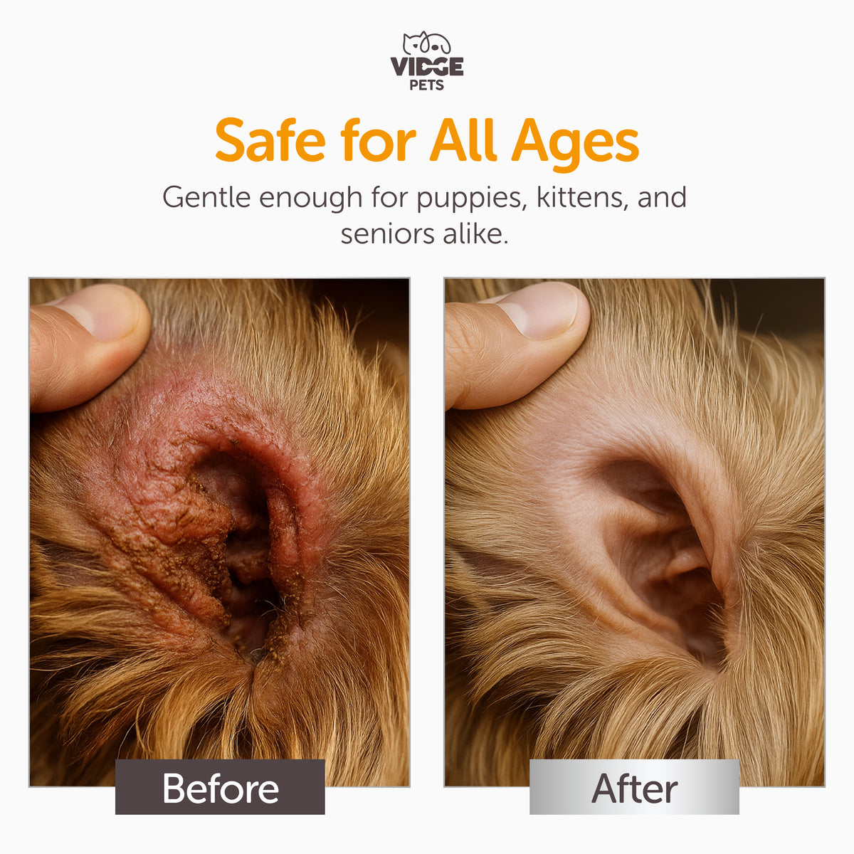 Advanced Ear Solution