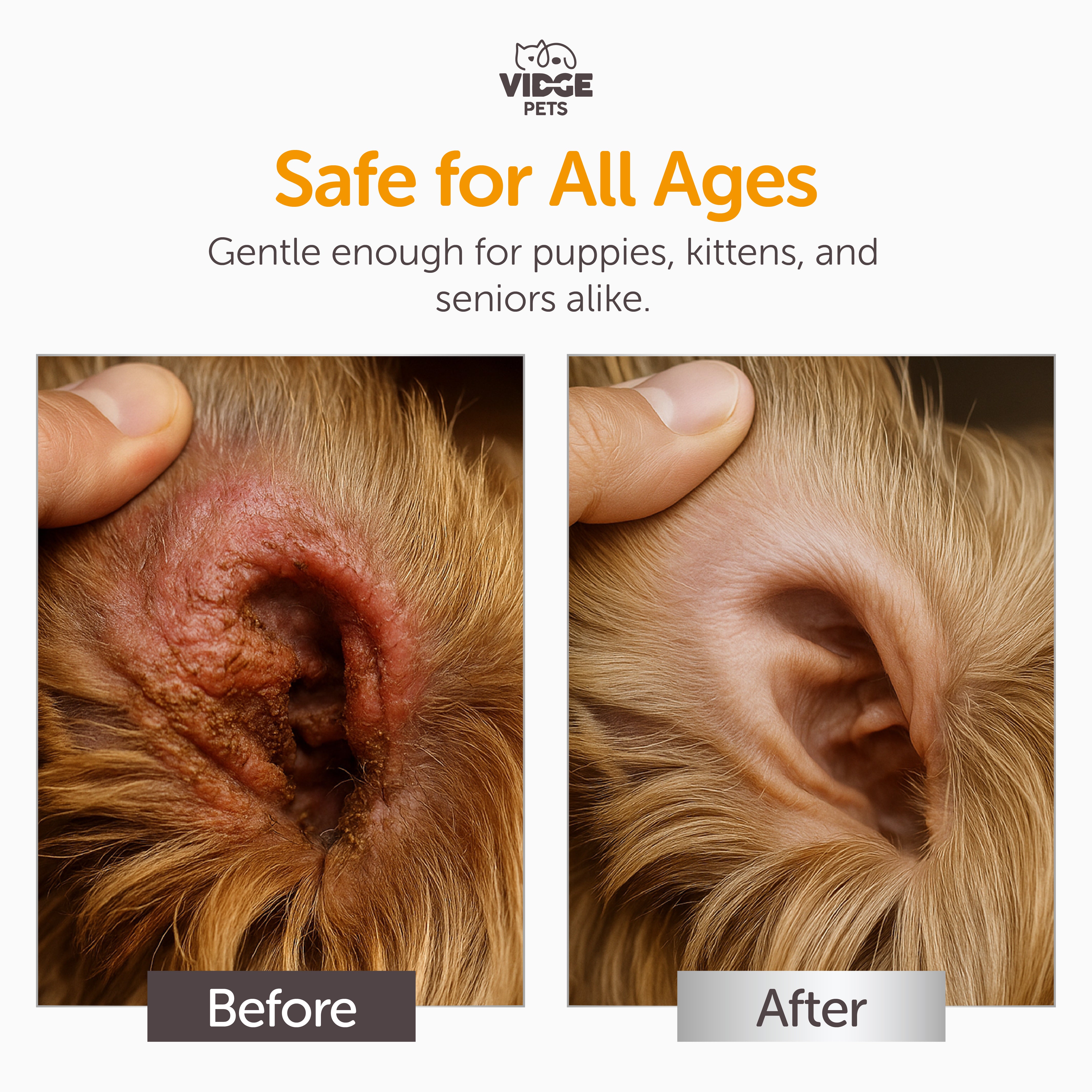 Advanced Ear Solution