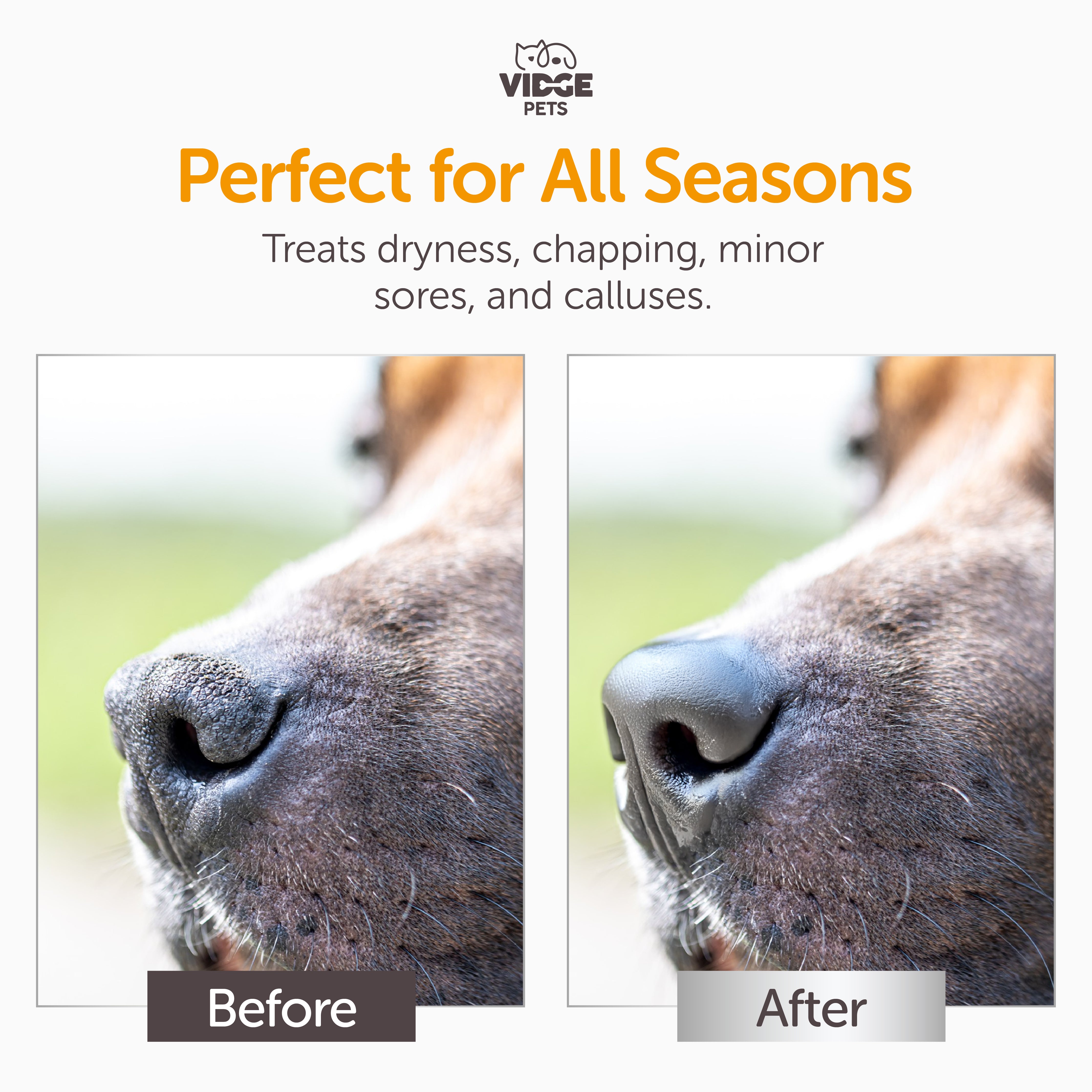 Paw & Nose Balm