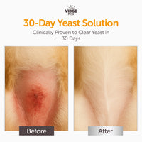 Antifungal & Antimicrobial Shampoo