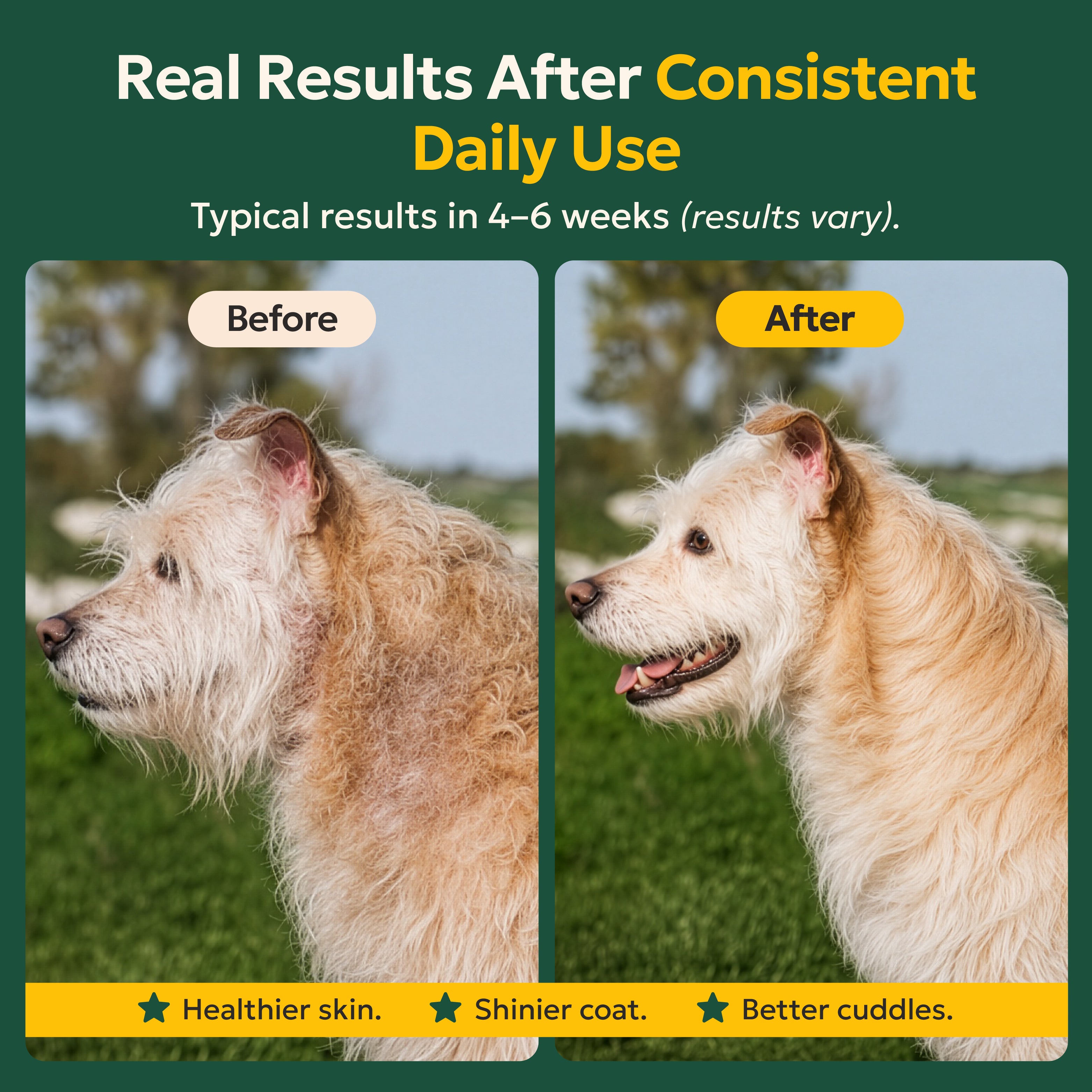 Wild Alaskan Salmon Oil – Omega‑3 Skin & Coat Support for Dogs