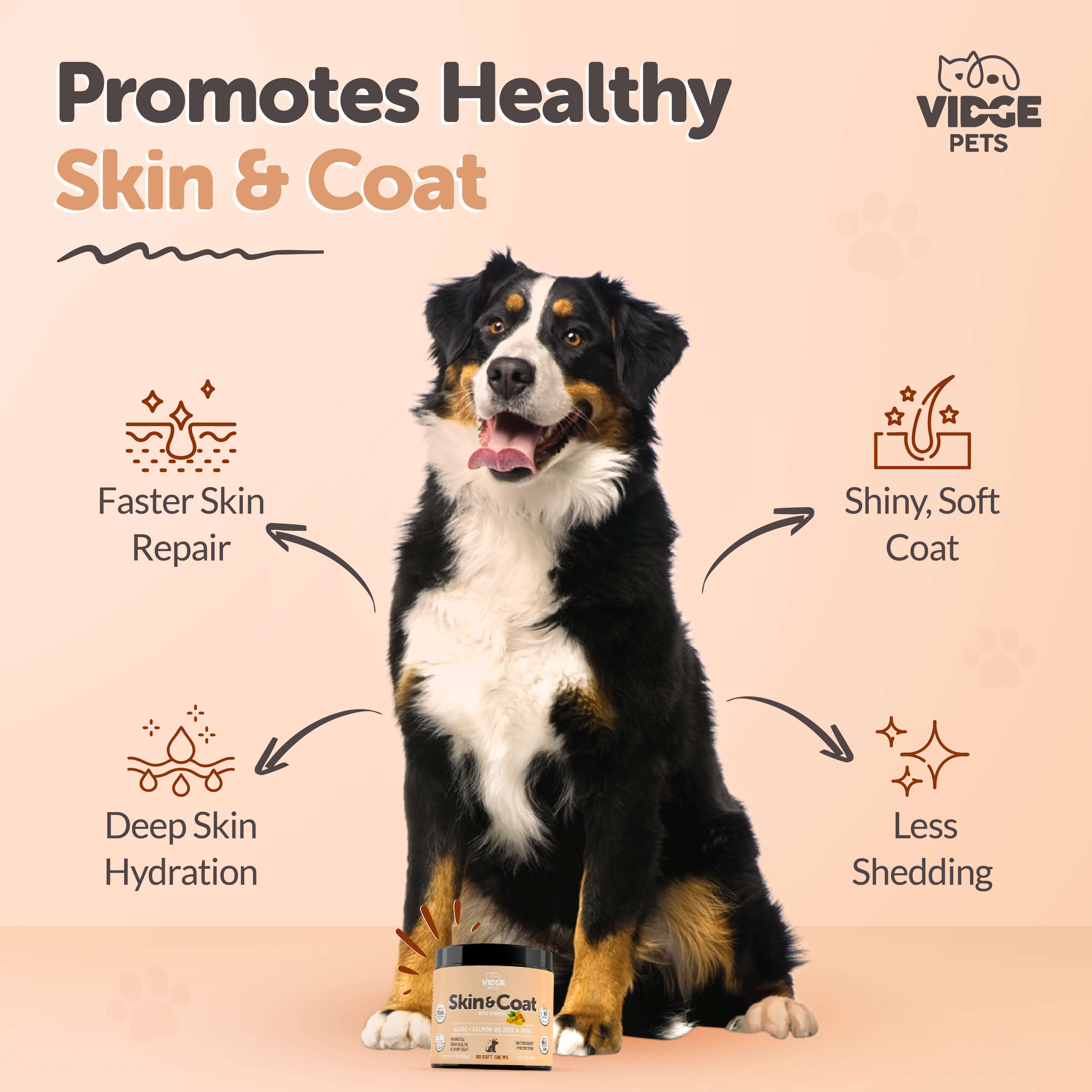 Skin & Coat Support