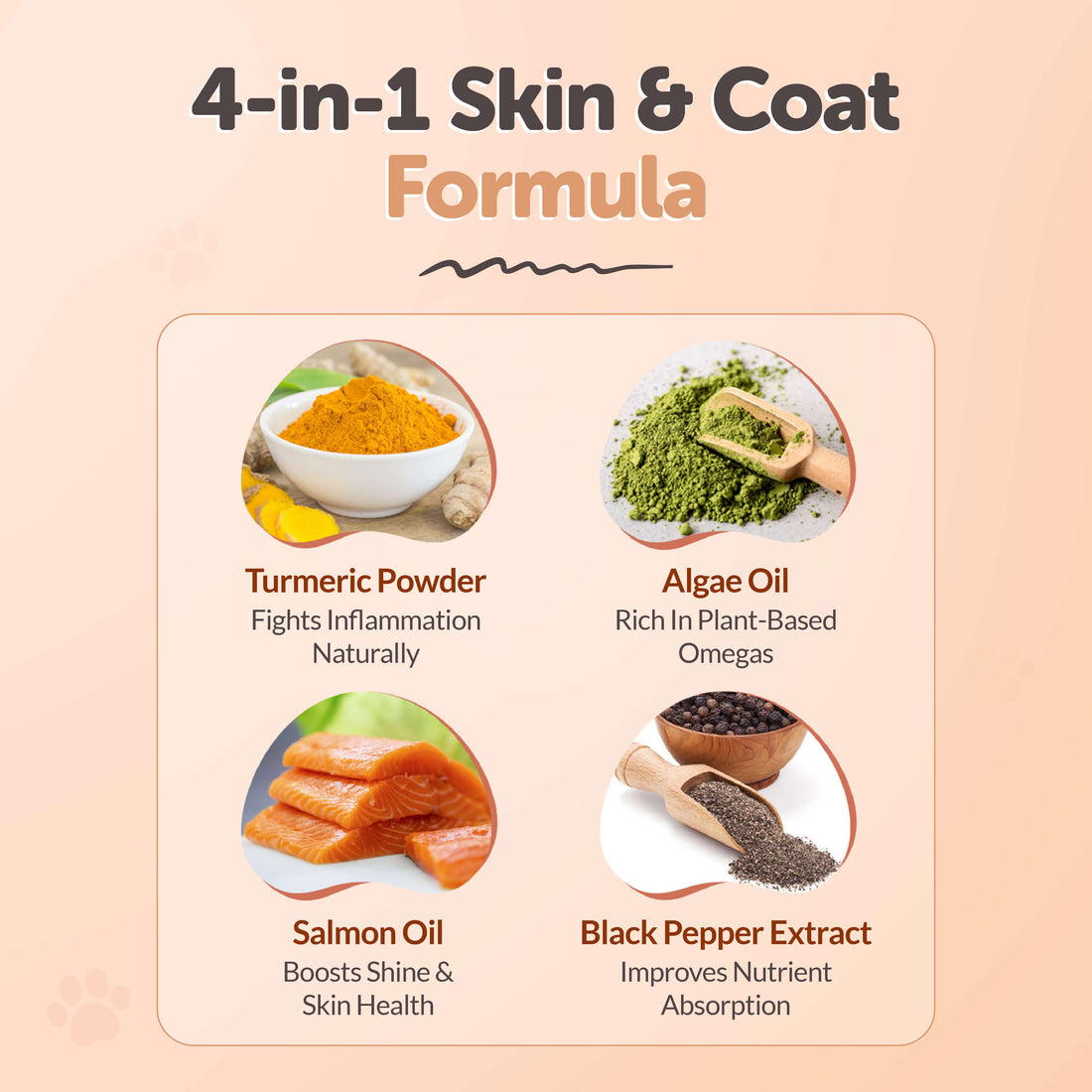 Skin & Coat Support