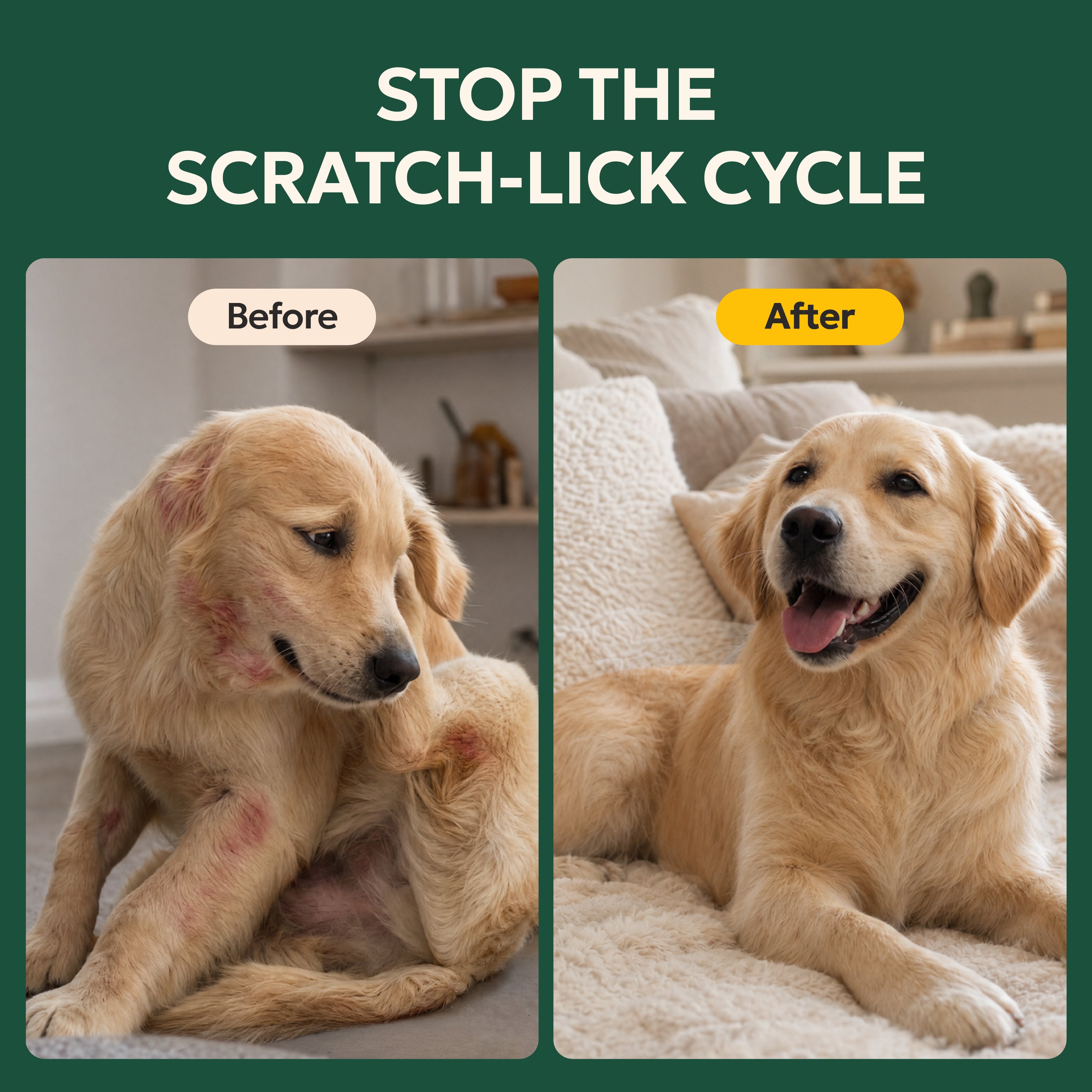 The Itchy Dog Bundle