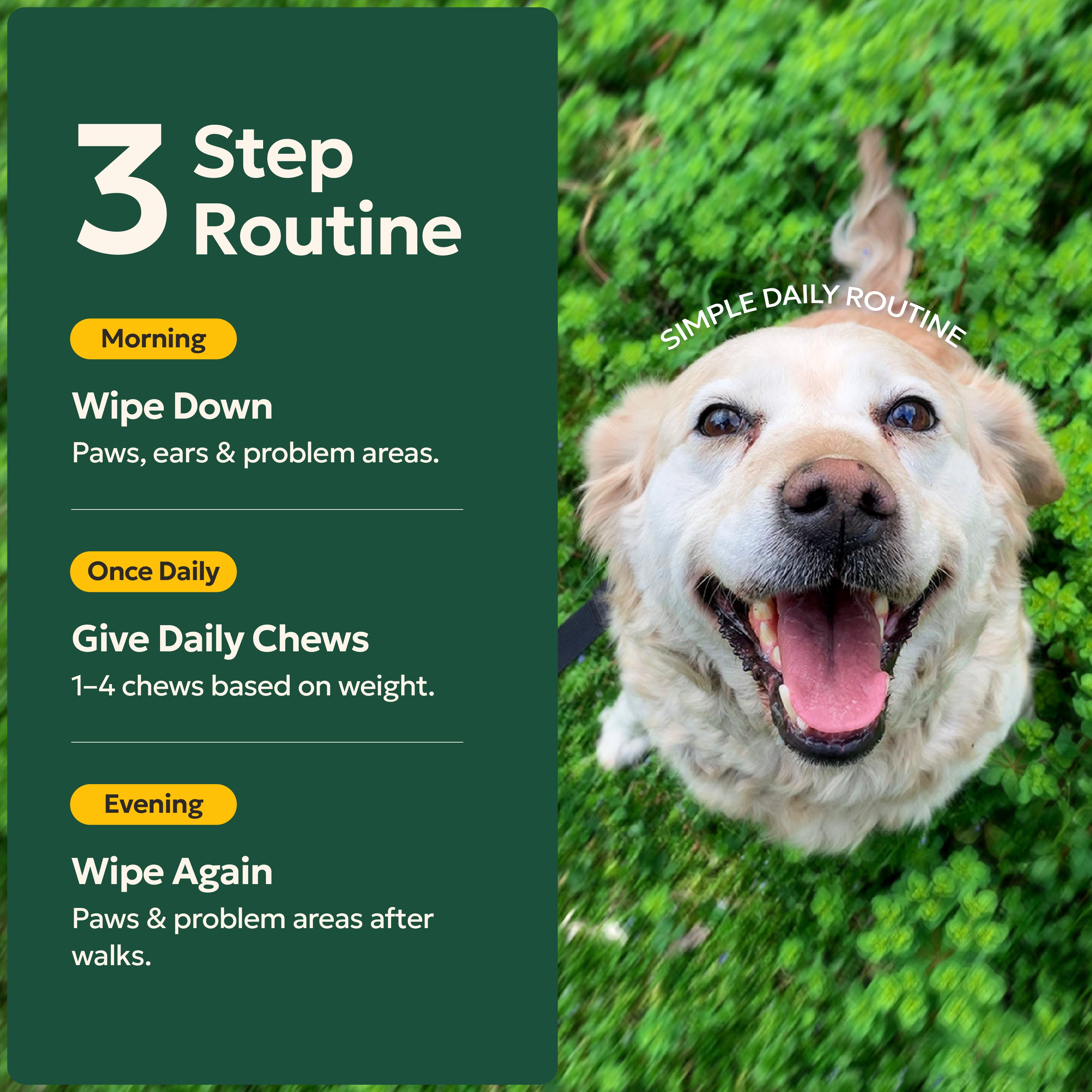 The Itchy Dog Bundle