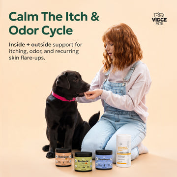 The Itchy and stinky dog bundle