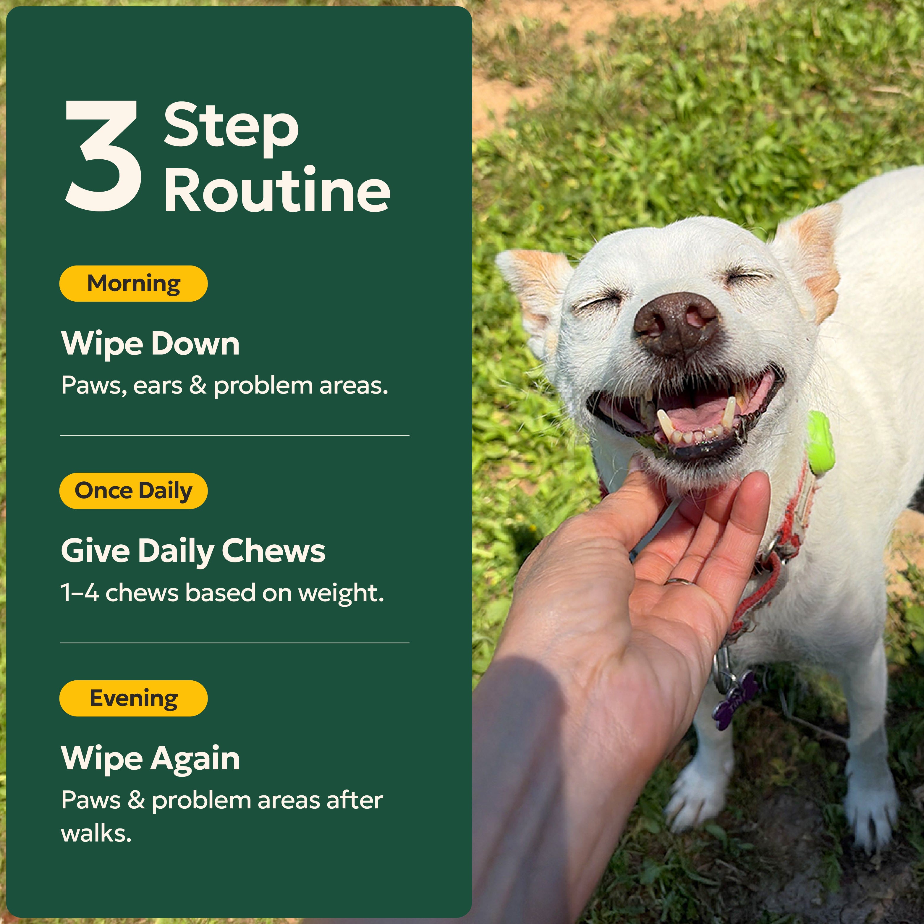 The Itchy and stinky dog bundle