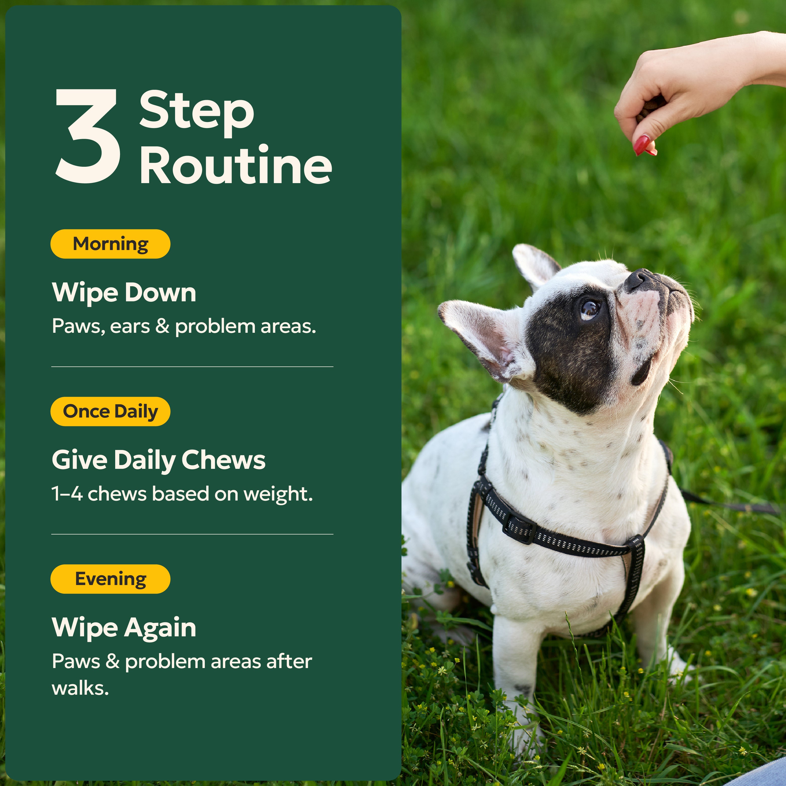 The stinky dog bundle