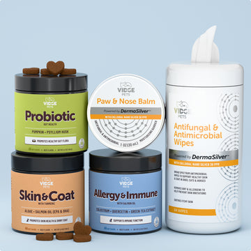 The Itchy and stinky dog bundle