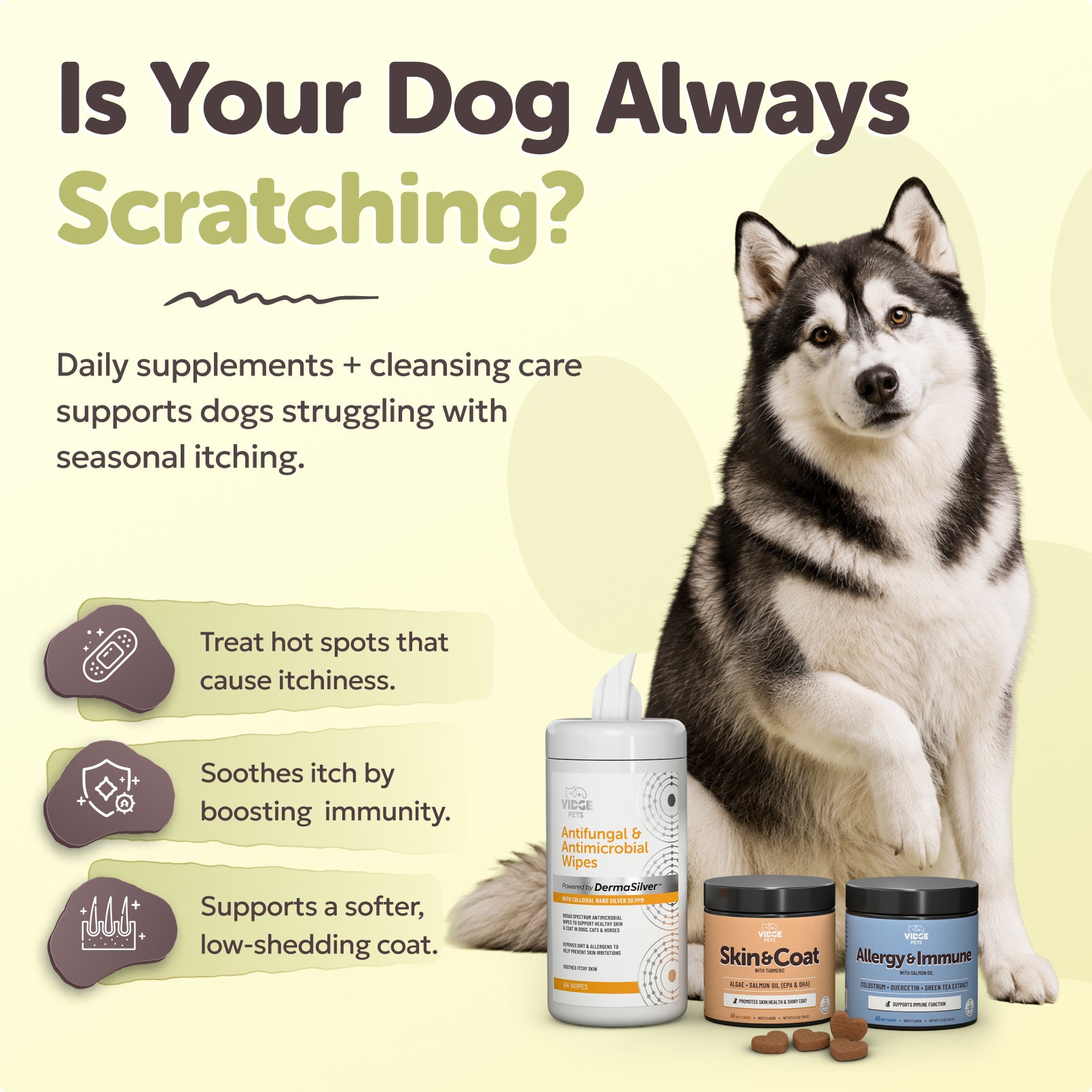 The Itchy Dog Bundle