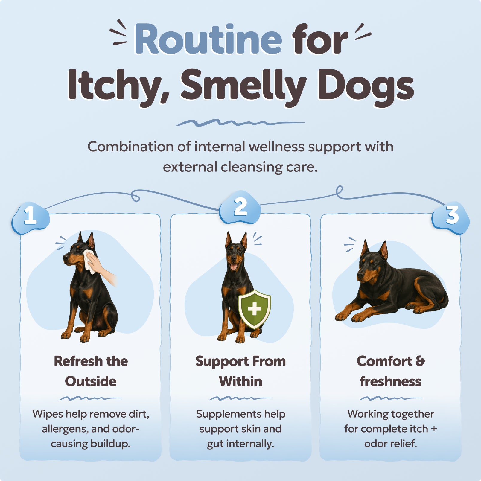 The Itchy and stinky dog bundle