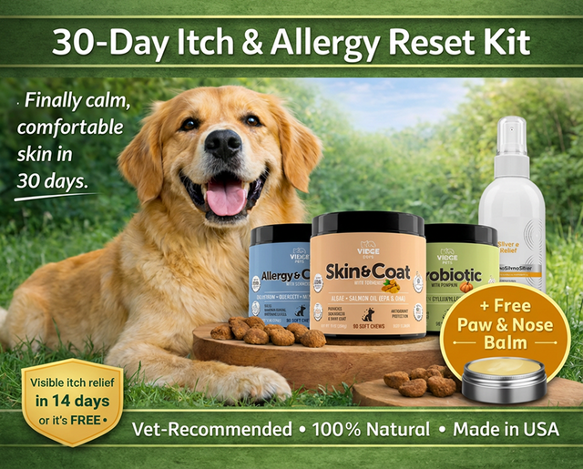 Itch & Allergy 30‑Day Reset Kit hero