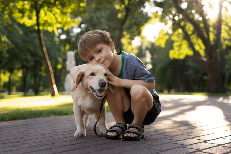 The 3-Step Simple Path To Healthier, Happier Pets.
